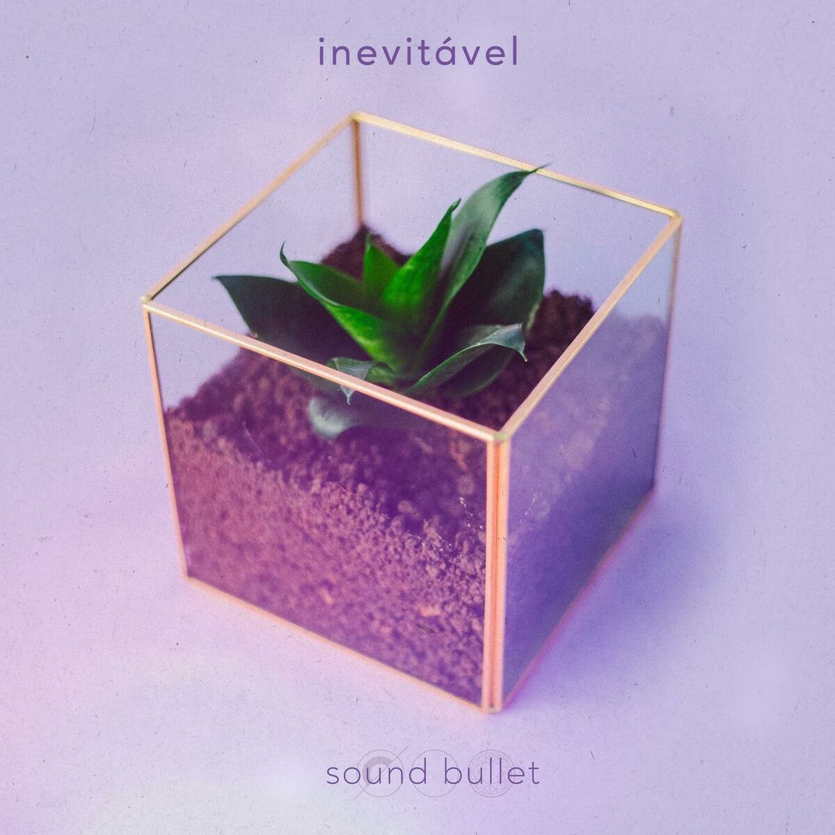 Album cover of Inevitável