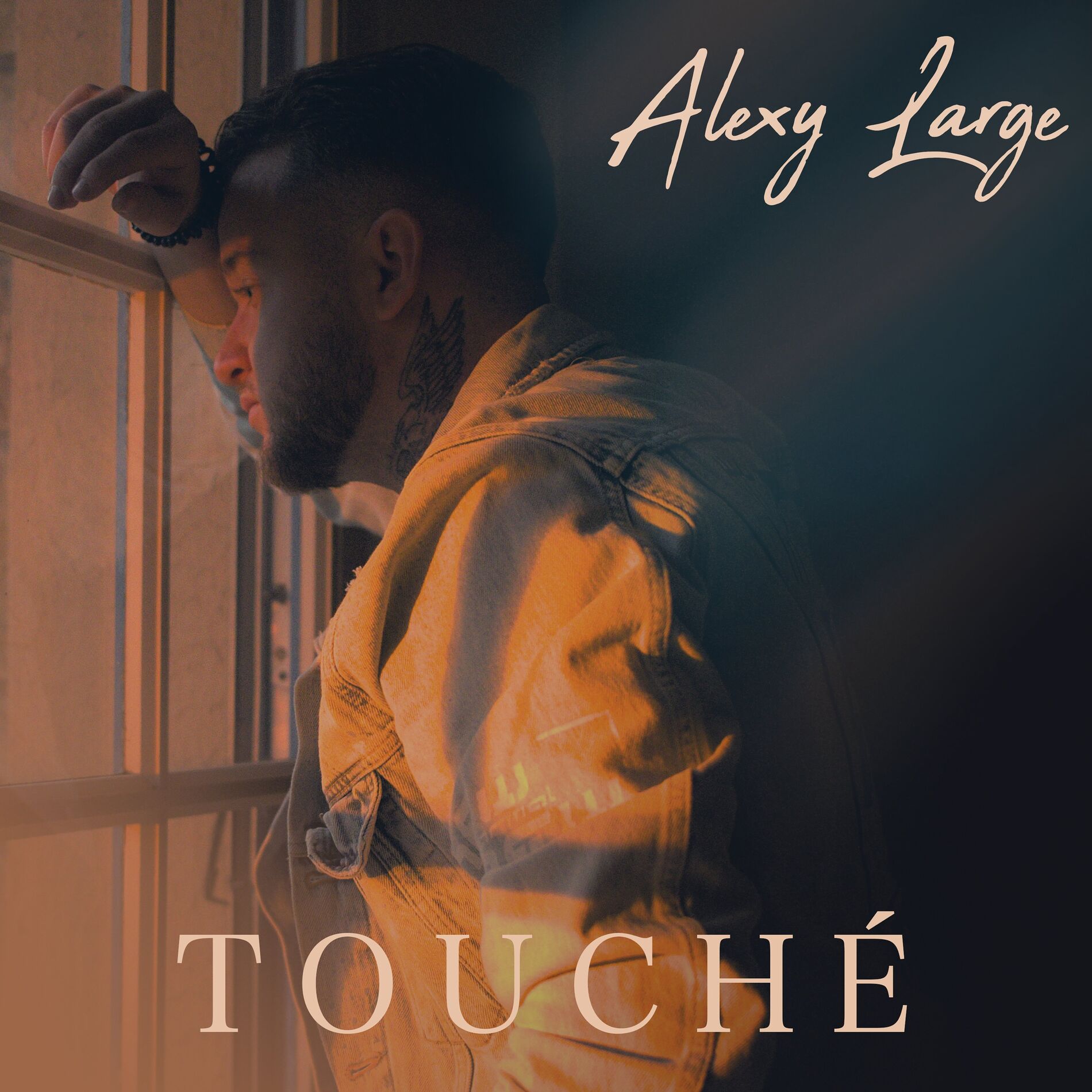 Album cover of Touché