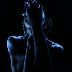 Cover of LOST