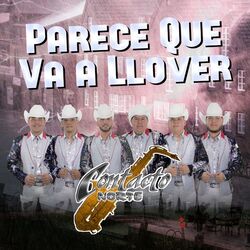 Cover of Parece Que Va a Llover