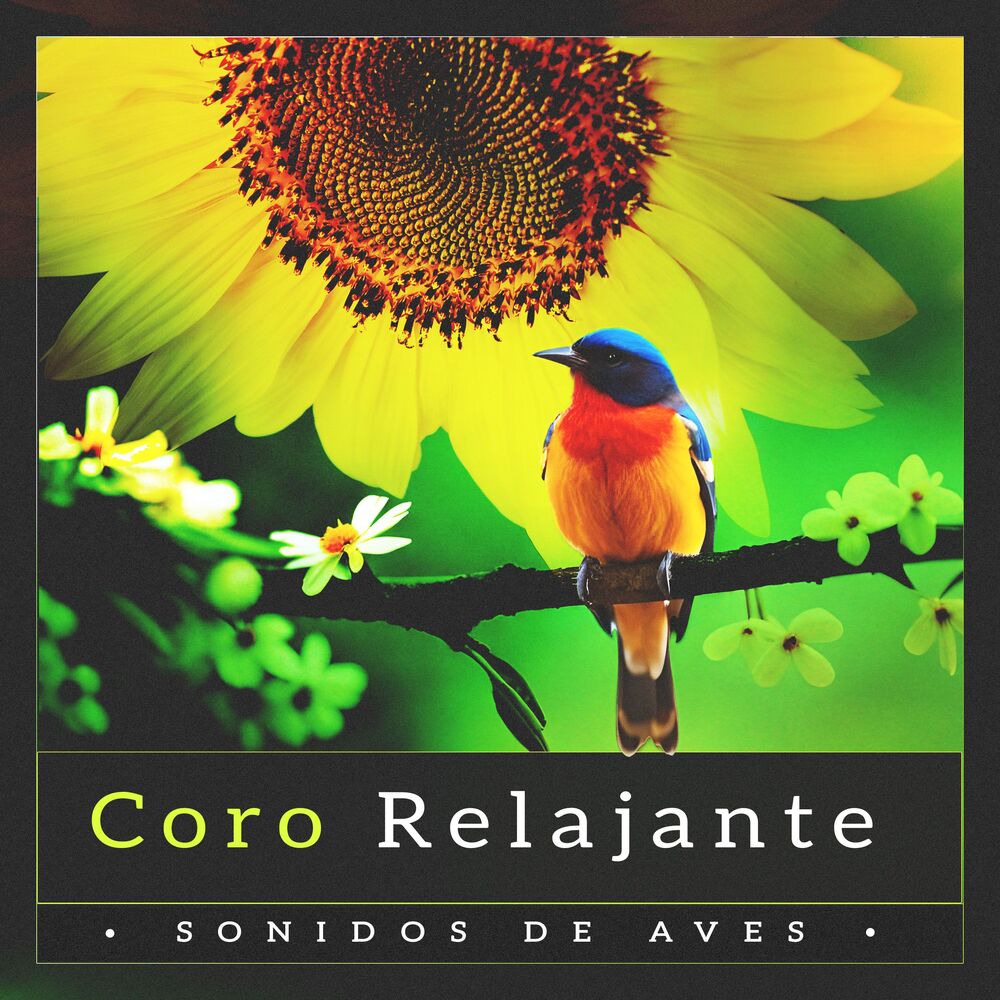 Picture of Coro Relajante
