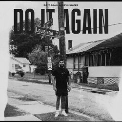 Cover of Do It Again