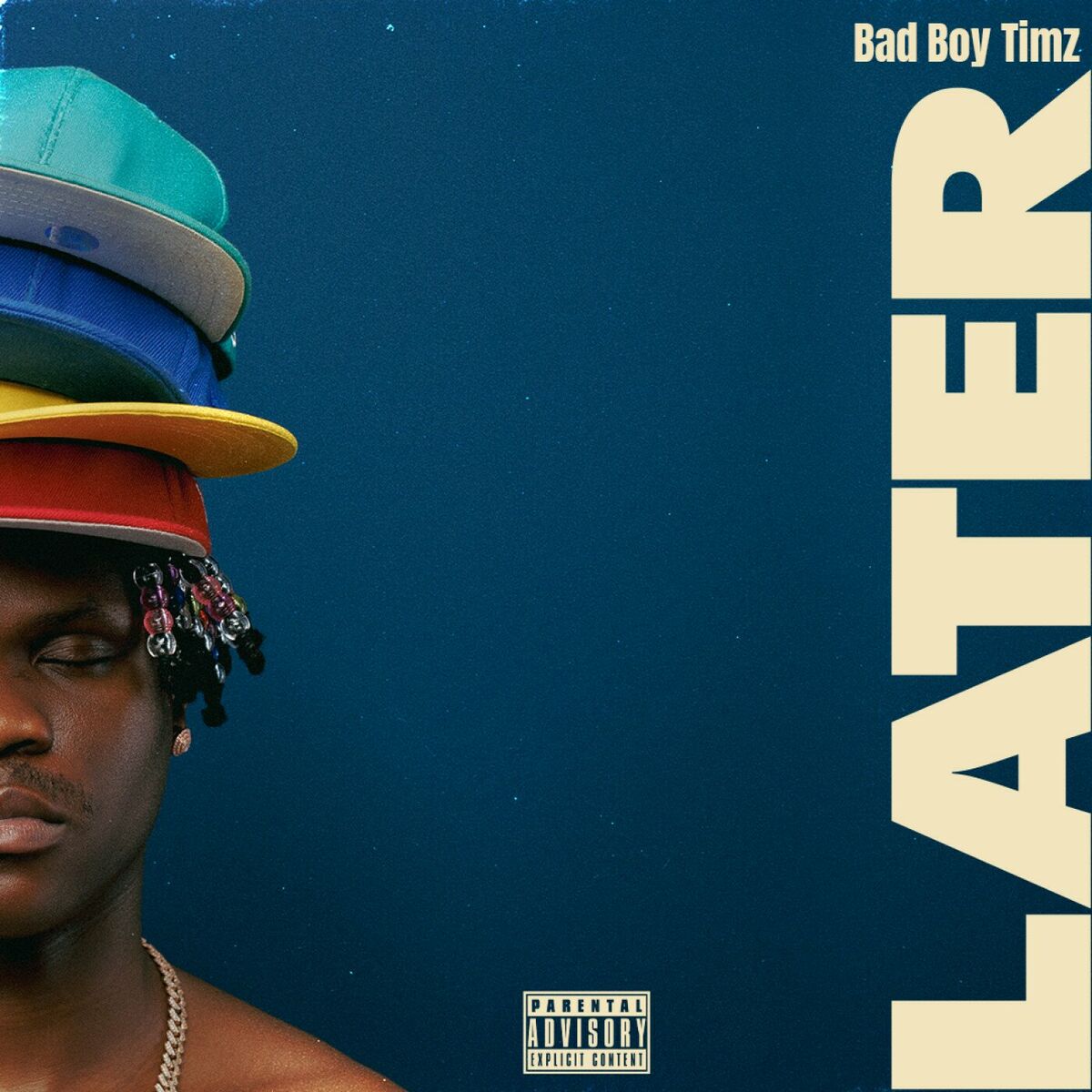 Album cover of Later