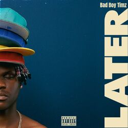 Cover of Later