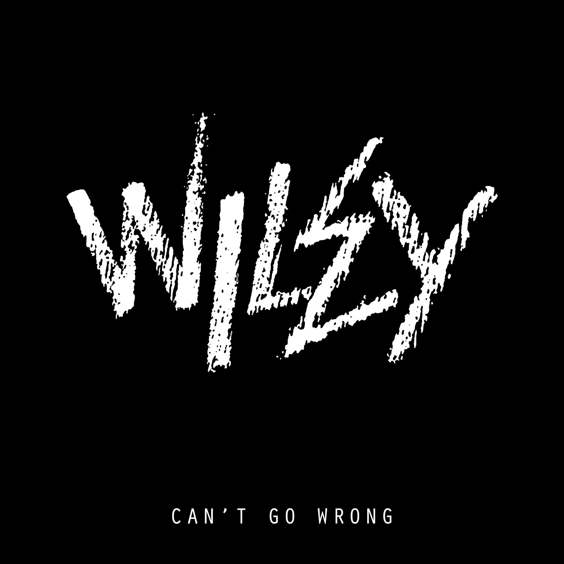 Album cover of Can't Go Wrong