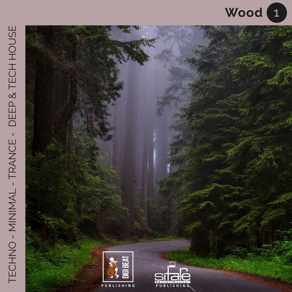 Picture of Wood (Techno Minimal Trance Deep and Tech House Remix)