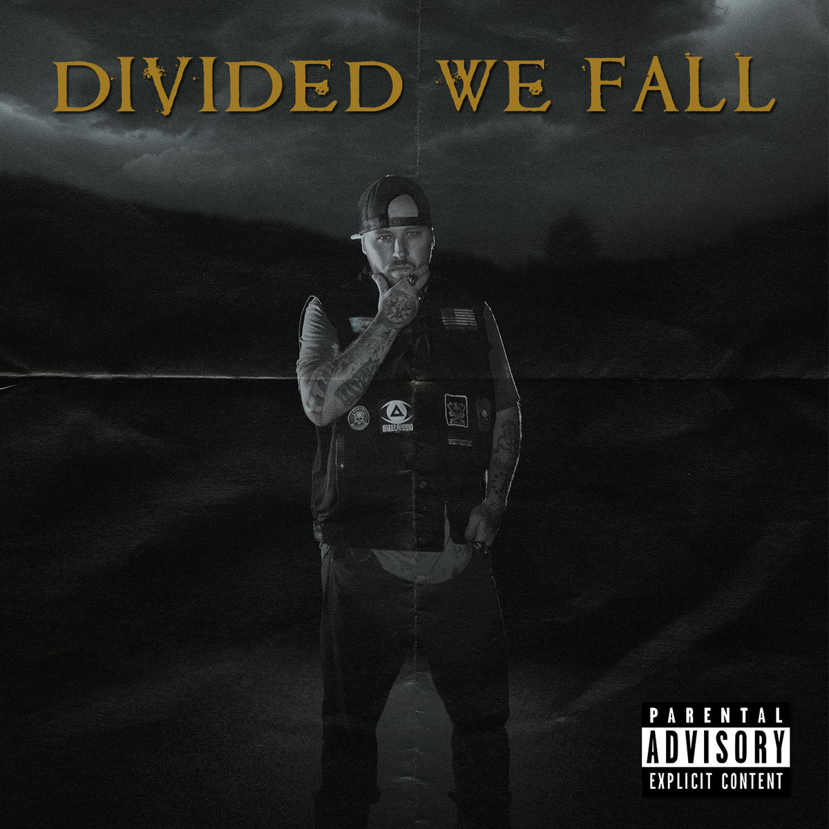 Album cover of Divided We Fall