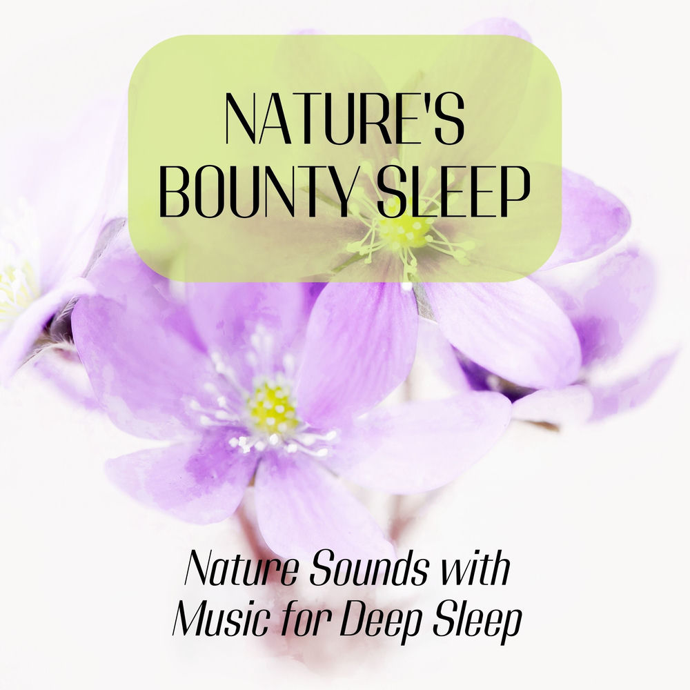Nature's Bounty Sleep