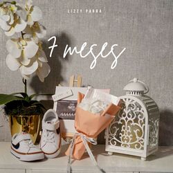 Cover of 7 Meses