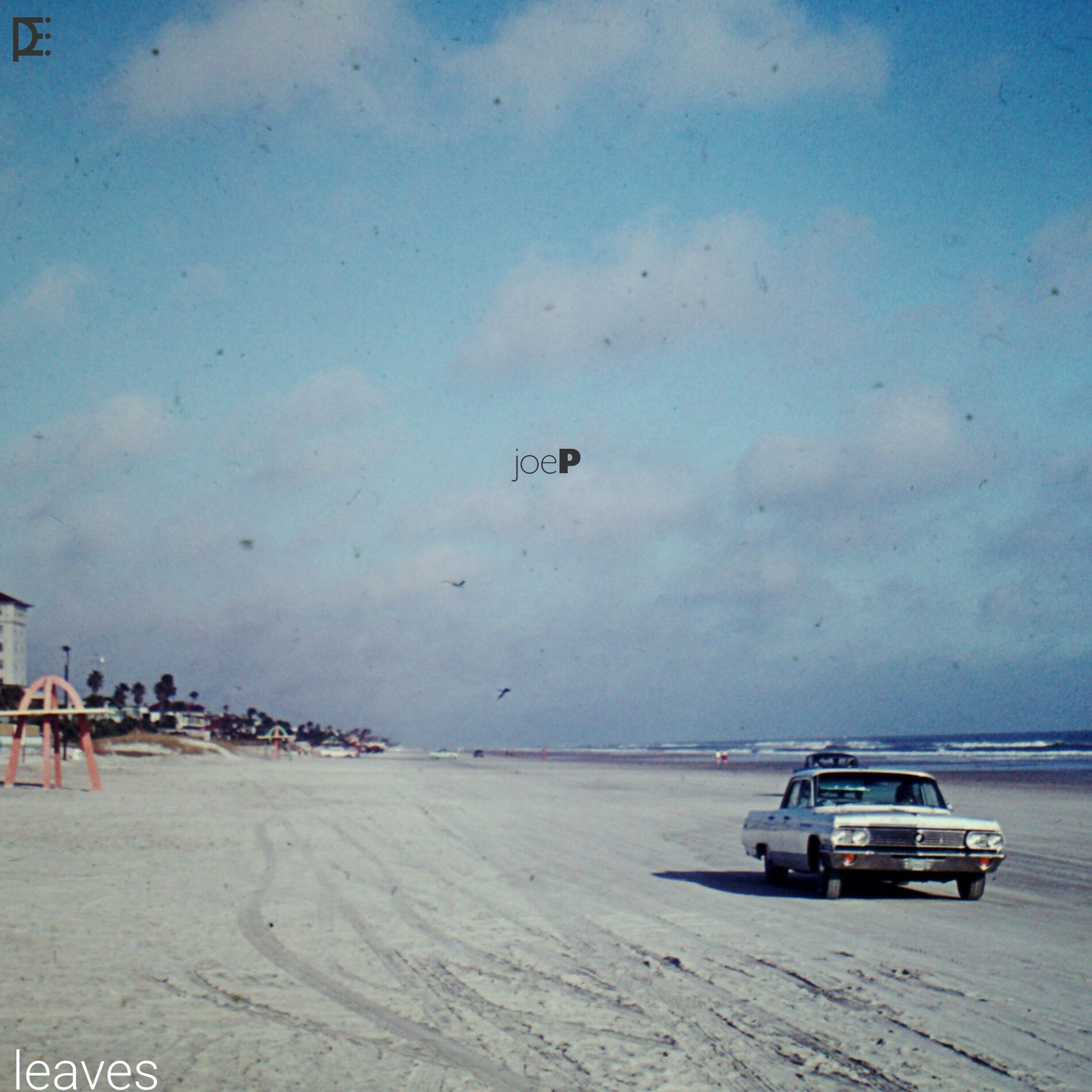 Album cover of Leaves