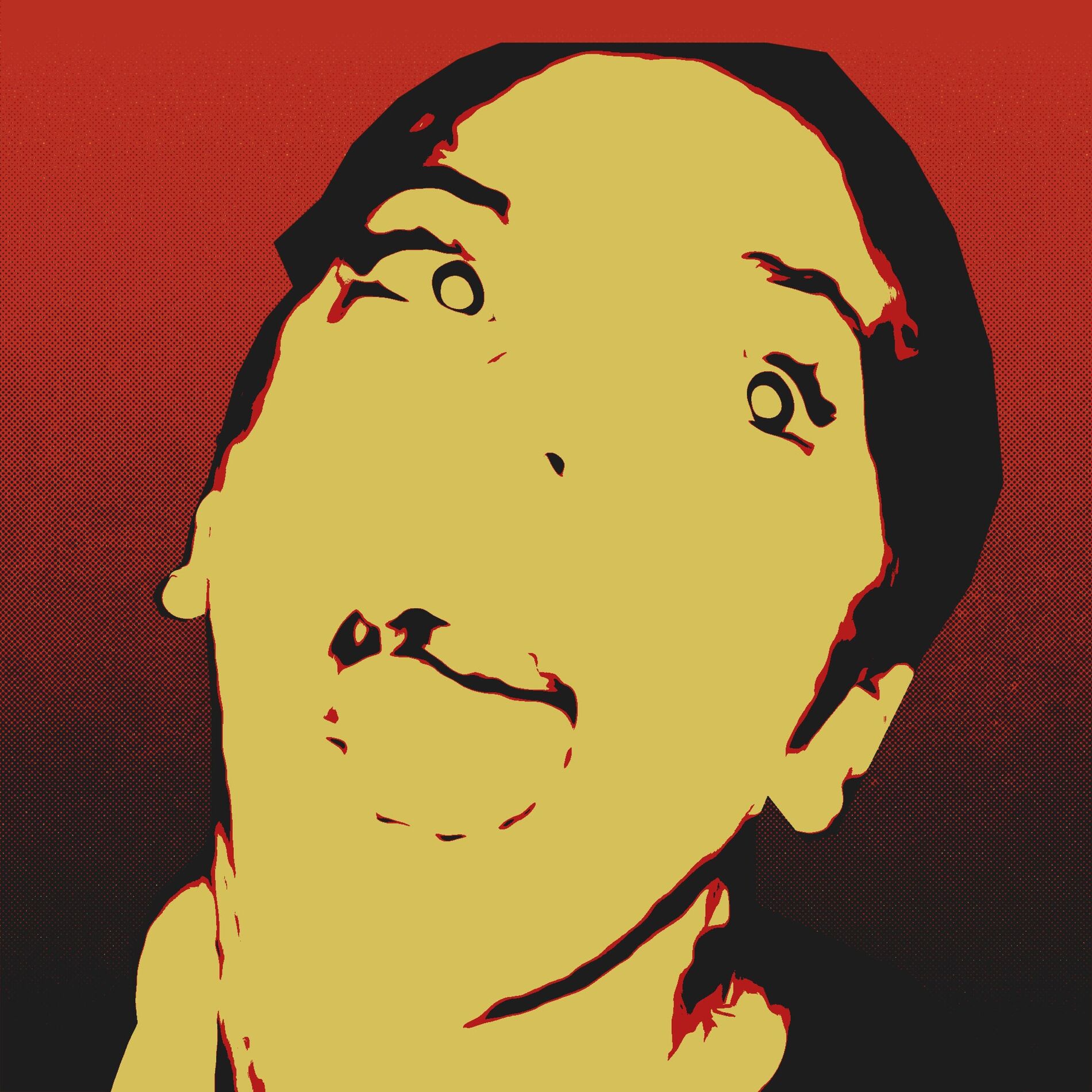 Album cover of No Pomegranates