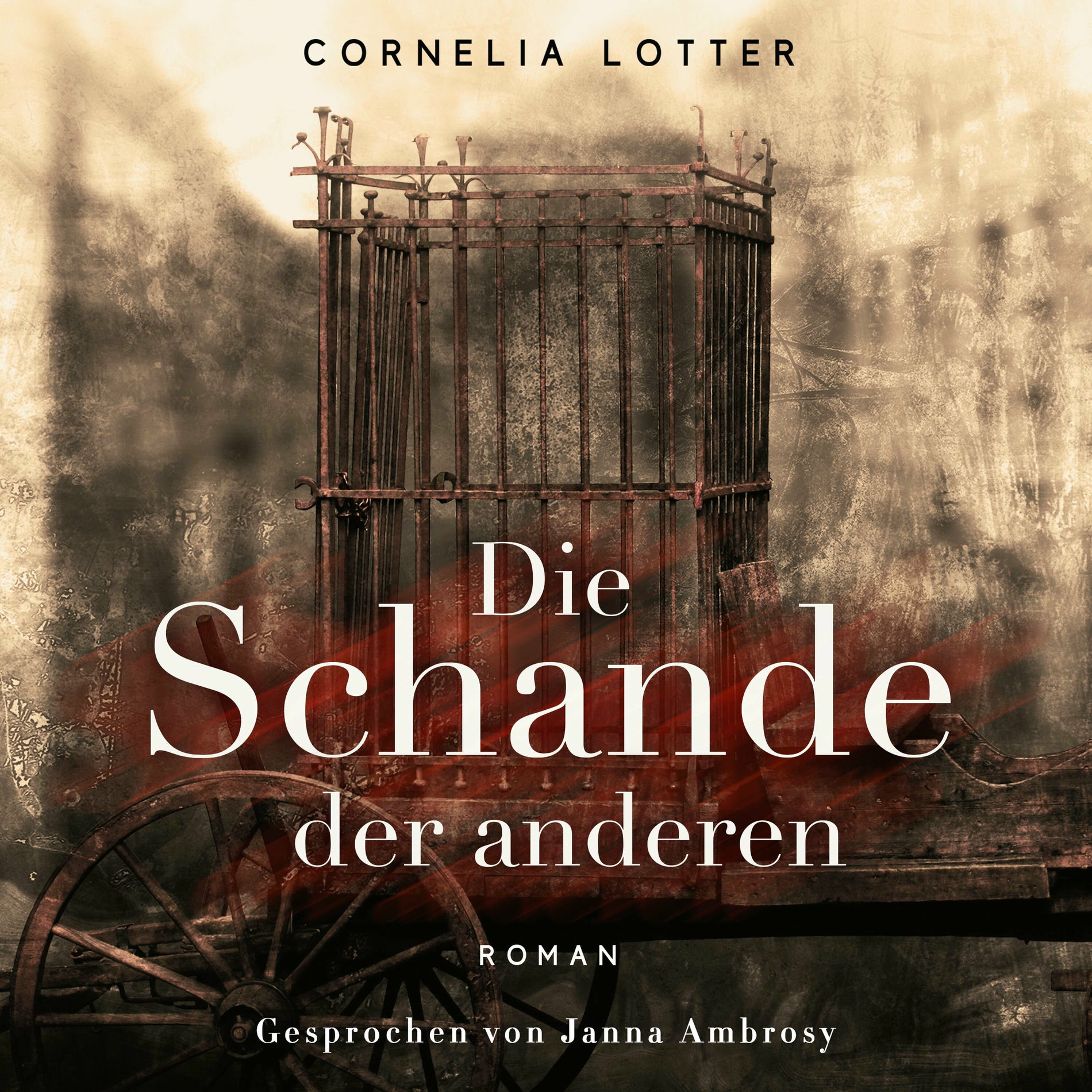 Album cover of Die Schande der Anderen (Nach einer wahren Geschichte)