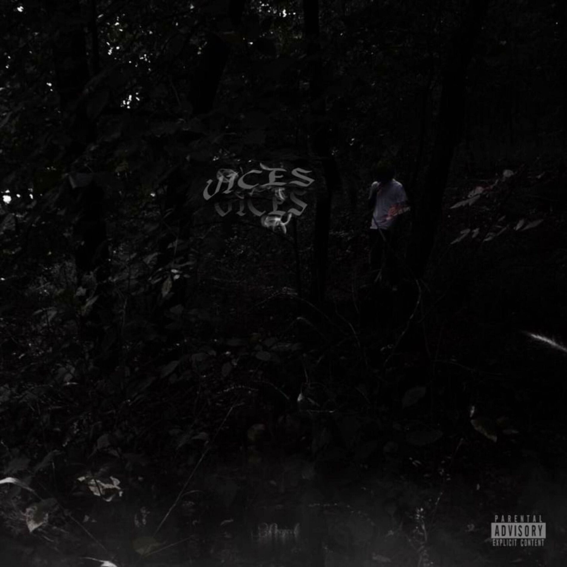 Album cover of Vices