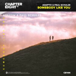 Cover of Somebody Like You