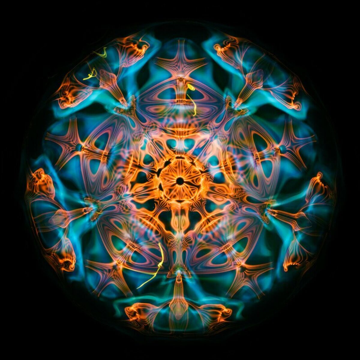 Album cover of Ambient Journeys, Vol. 1 (La Selva)