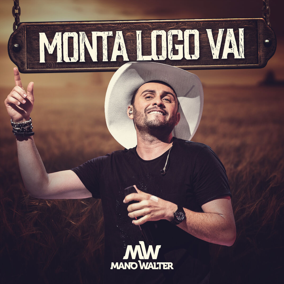 Album picture of Monta Logo Vai