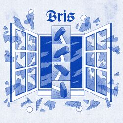 Cover of Bris