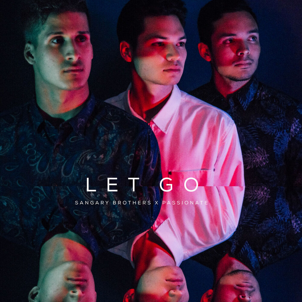 Picture of Let Go