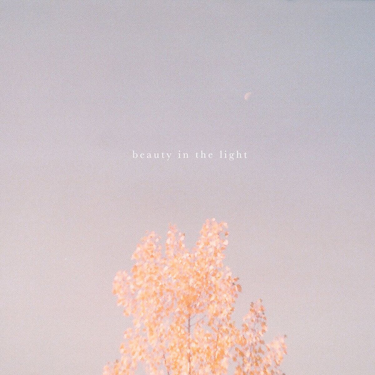 Album cover of Beauty in the Light (Acoustic)