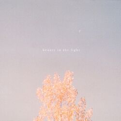 Cover of Beauty in the Light (Acoustic)