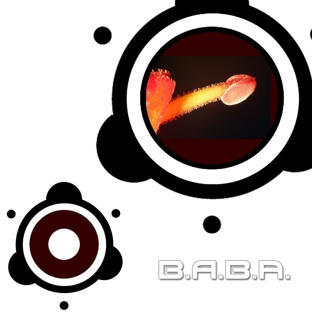 Picture of Hoomba (The Album)