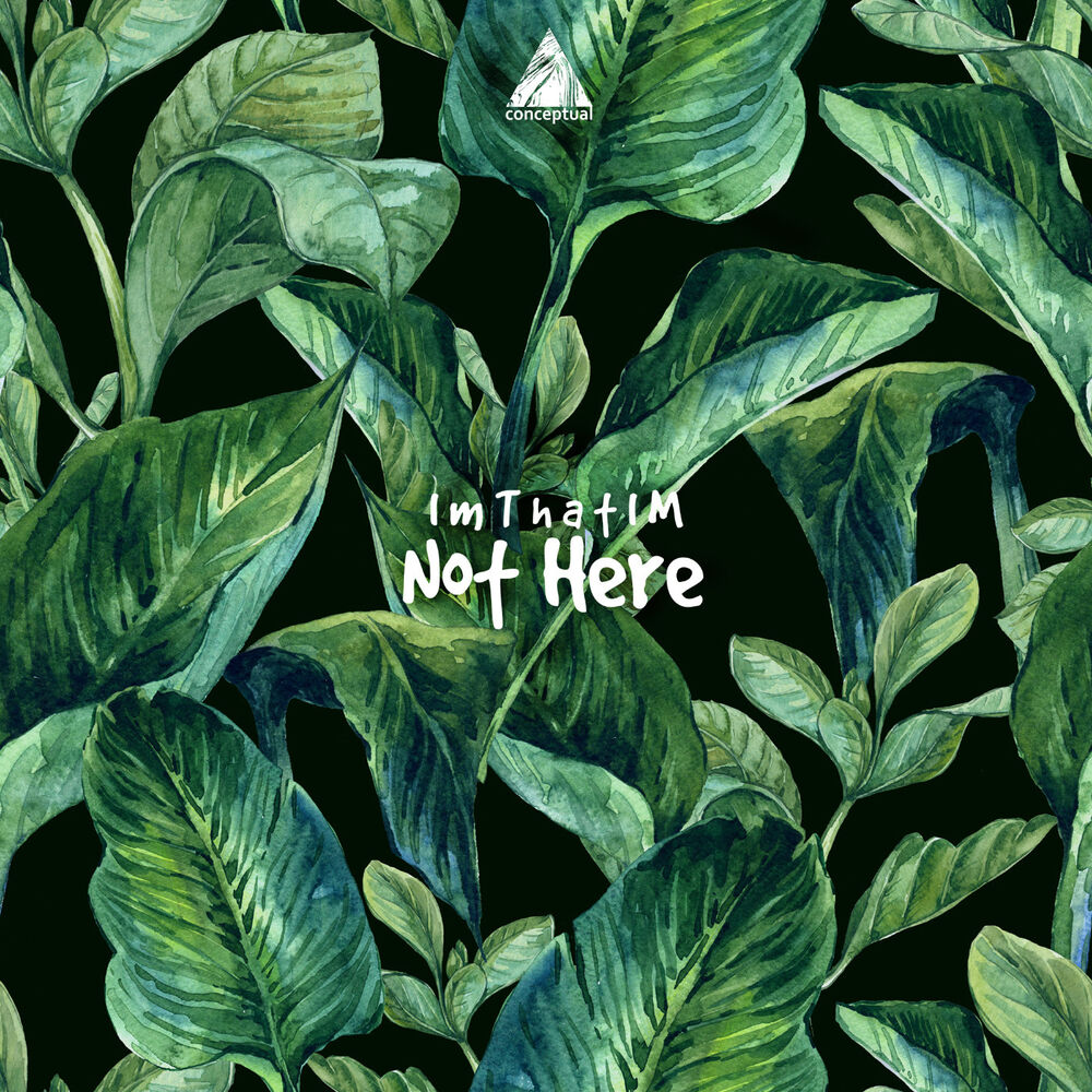 Picture of Not Here