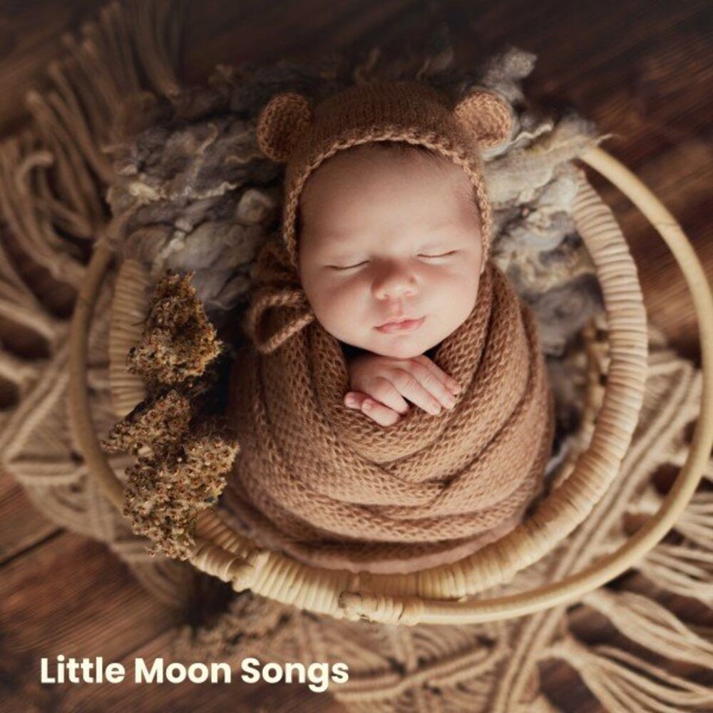Picture of Little Moon Songs