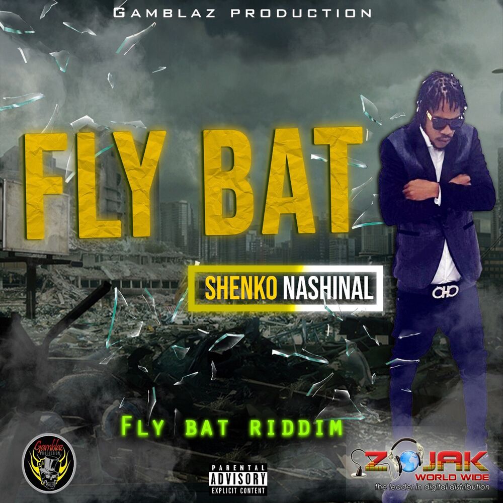 Picture of Fly Bad