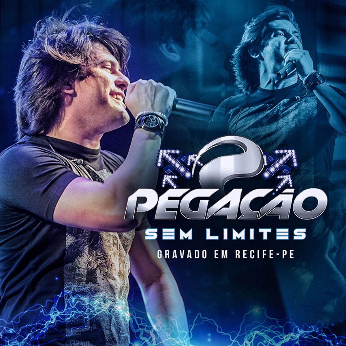 Album cover of Viva a Bagaceira