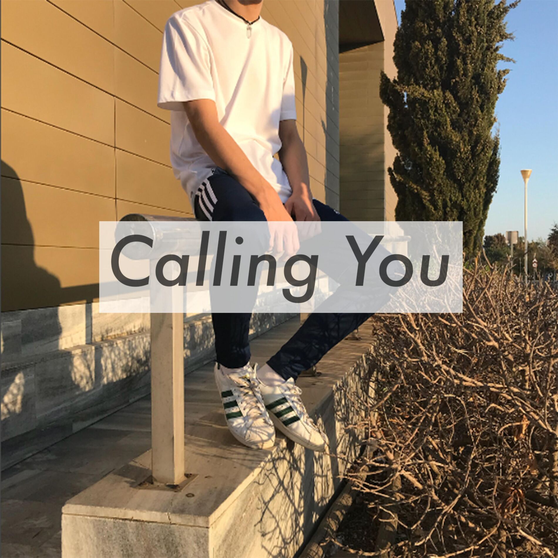 Album cover of Calling You (feat. Silence.)