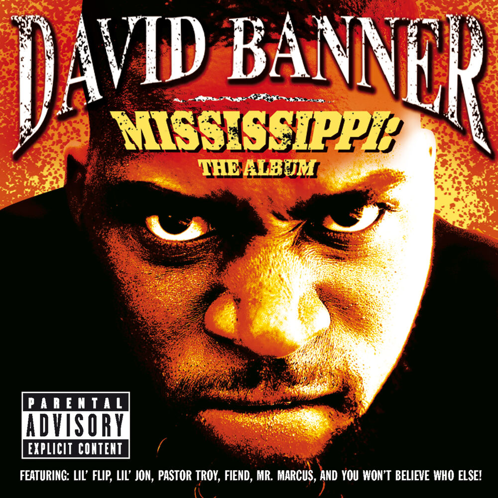 Picture of Mississippi: The Album