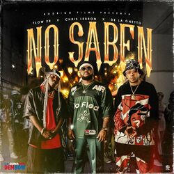 Cover of No Saben