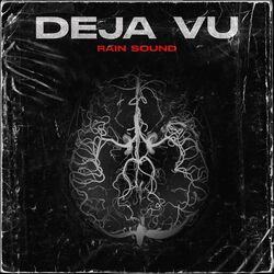 Cover of DEJA VU