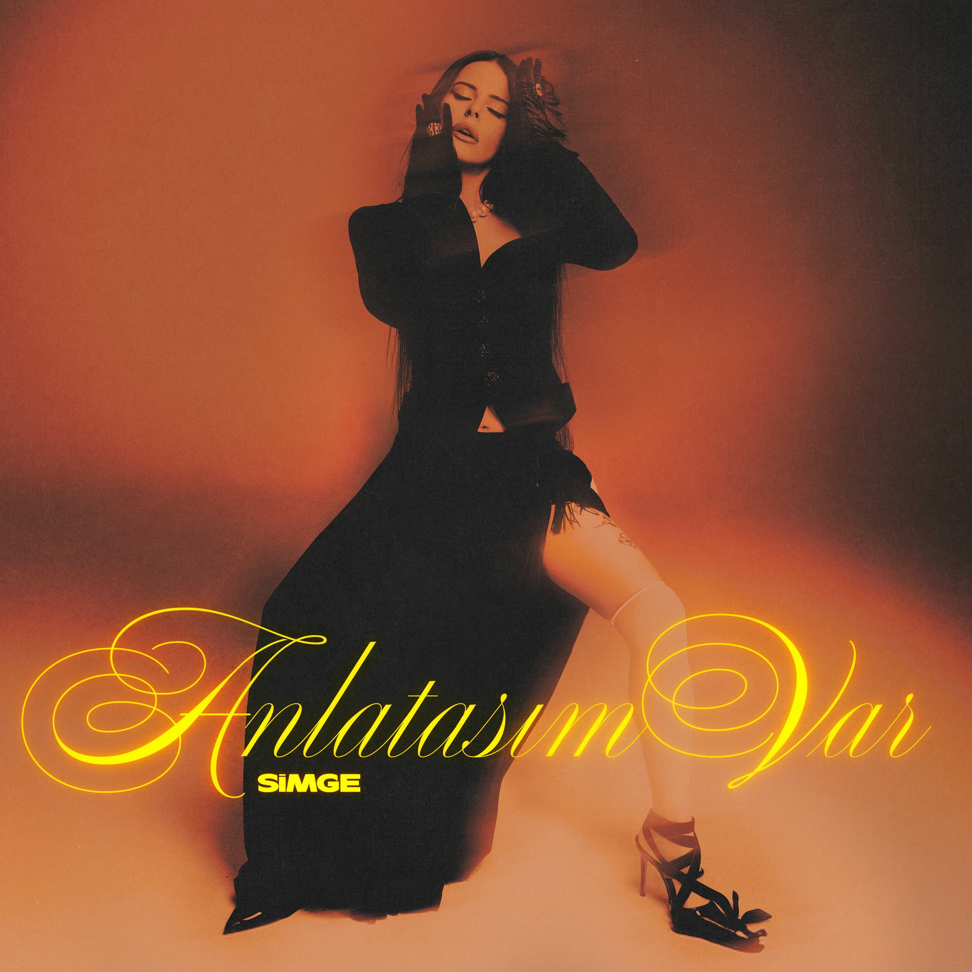 Album cover of Anlatasım Var