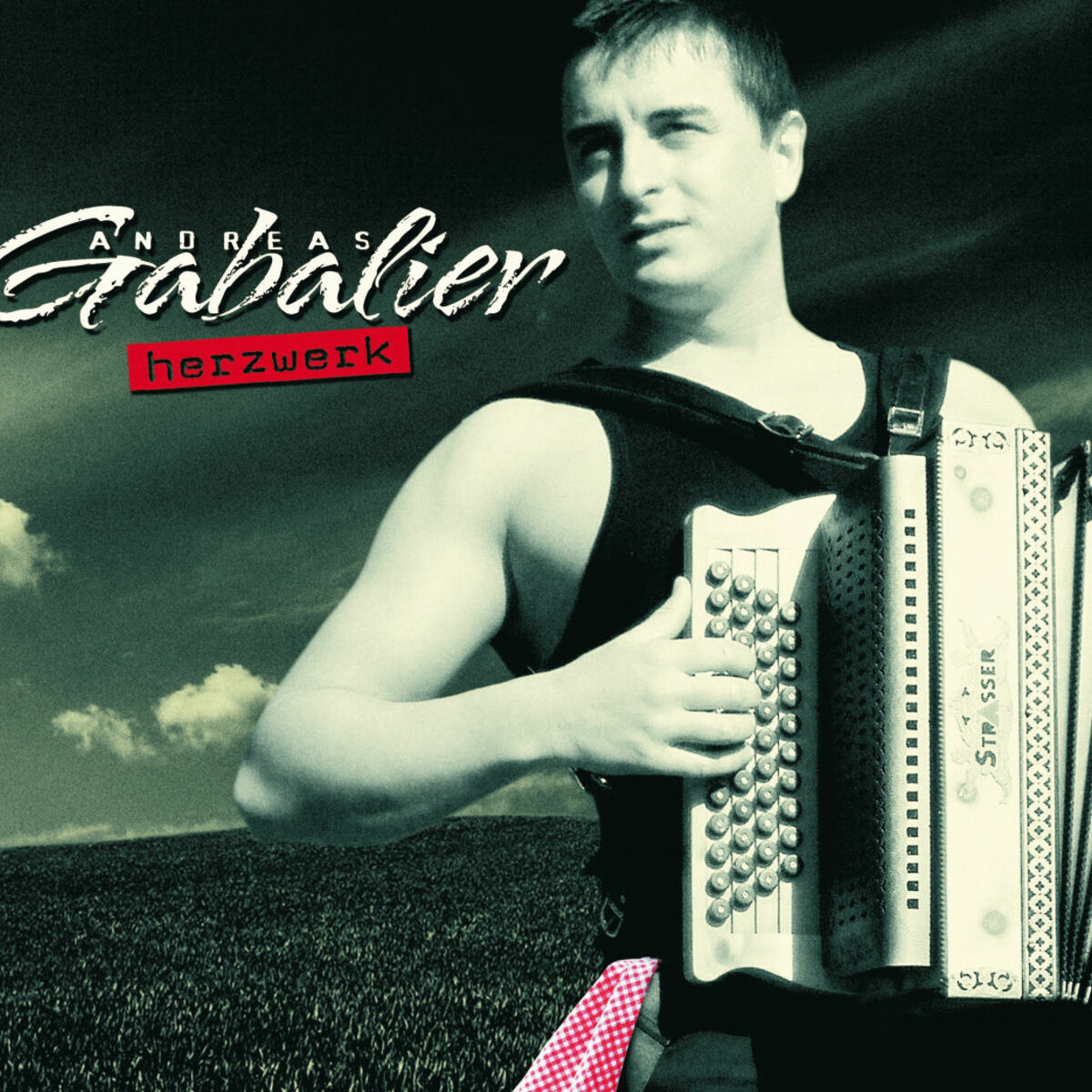 Album cover of Herzwerk