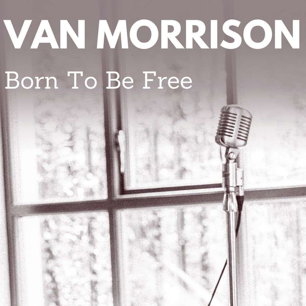 Picture of Born to Be Free