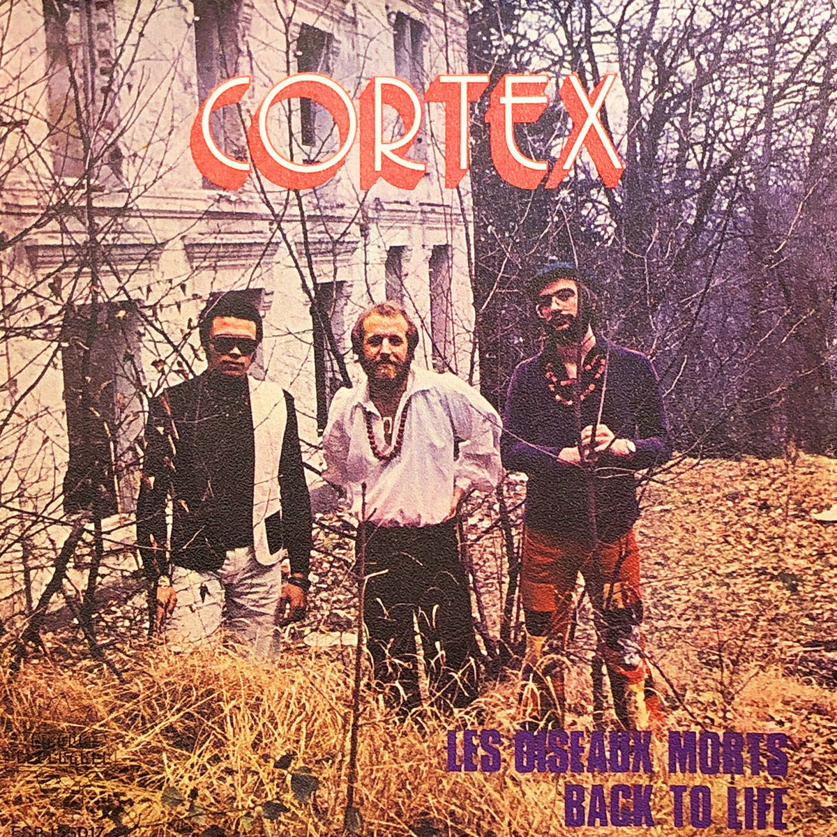 Album cover of Les Oiseaux Morts (Back To Life)
