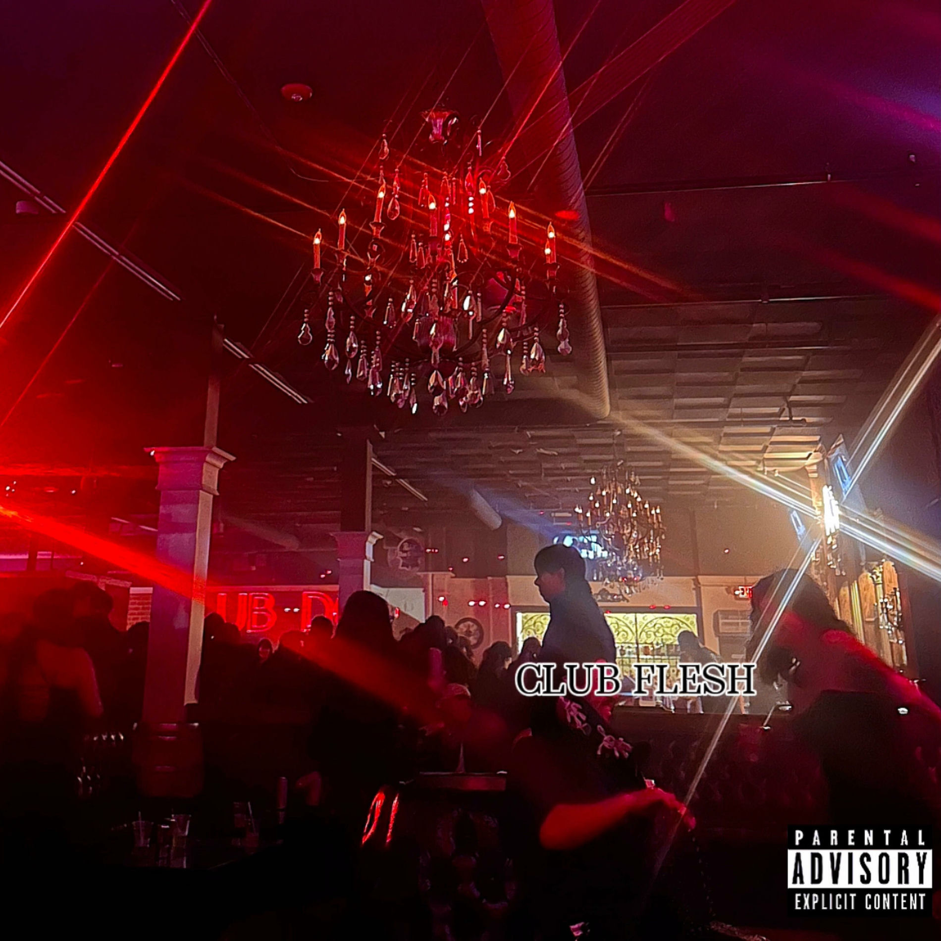 Album cover of Club Flesh
