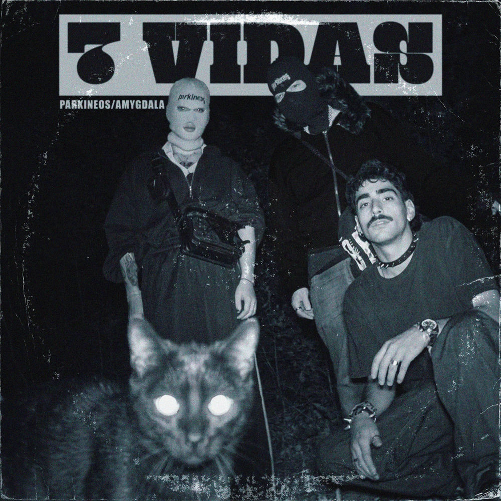 7 VIDAS cover