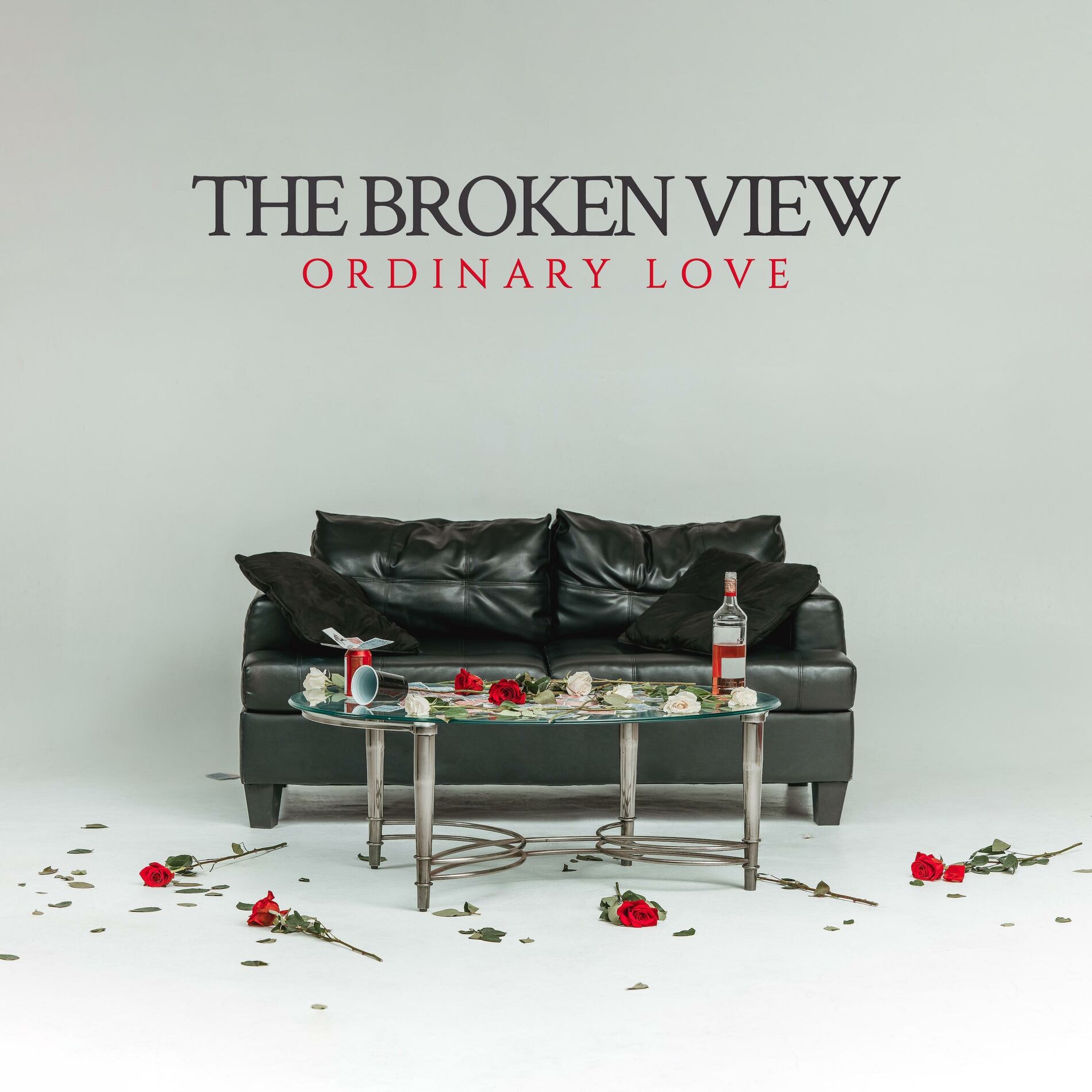 Album cover of Ordinary Love