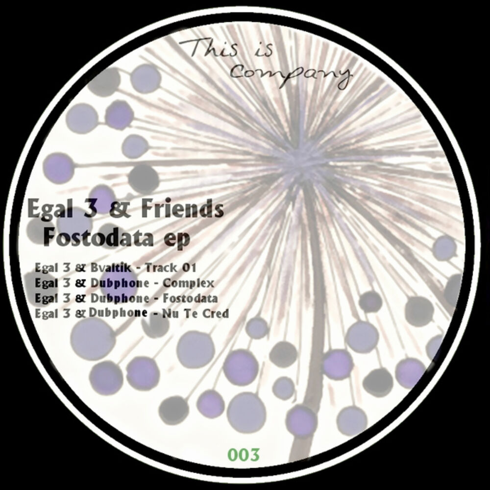 Picture of Fostodata Ep
