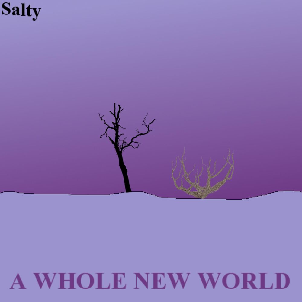 Picture of A Whole New World
