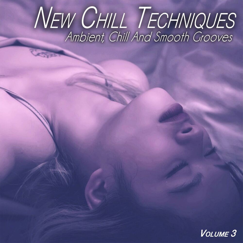 Picture of New Chill Techniques, Vol. 3 - Ambient, Chill and Smooth Grooves (Album)