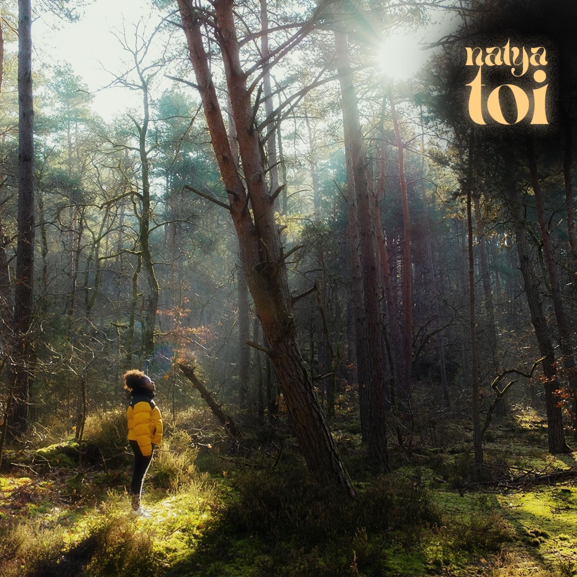 Album cover of Toi