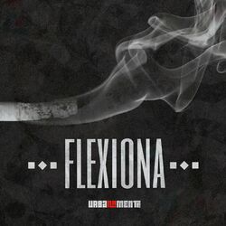 Cover of Flexiona