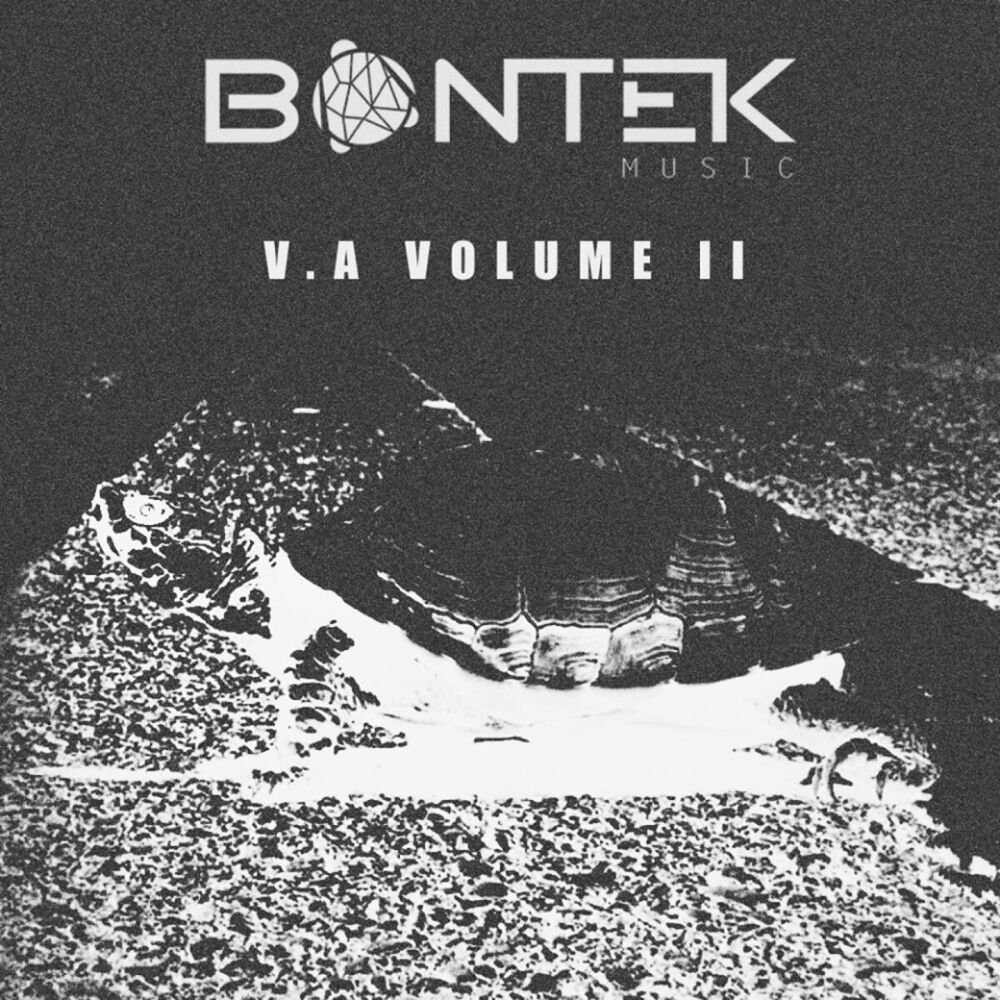 Picture of Bontek V. A II