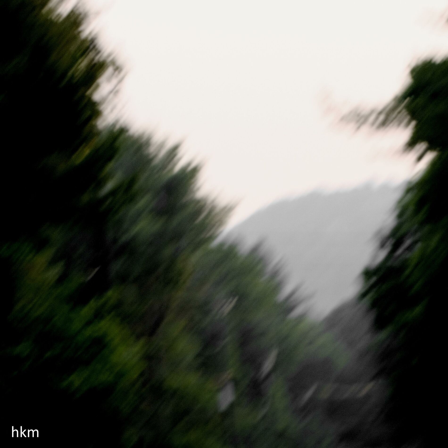 Album cover of forever