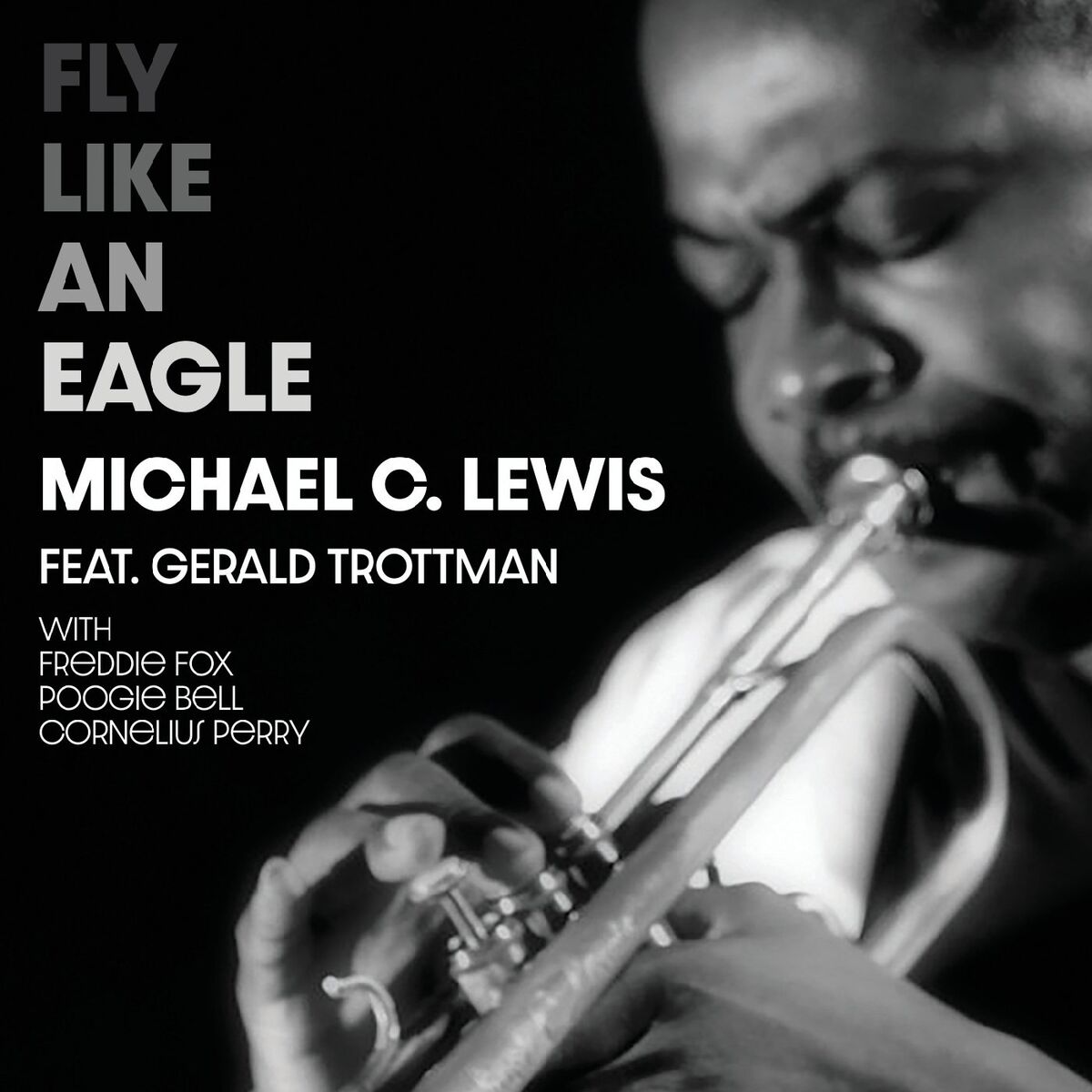 Album cover of Fly Like an Eagle