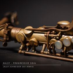 Cover of Progressive Soul (by Kalsy)