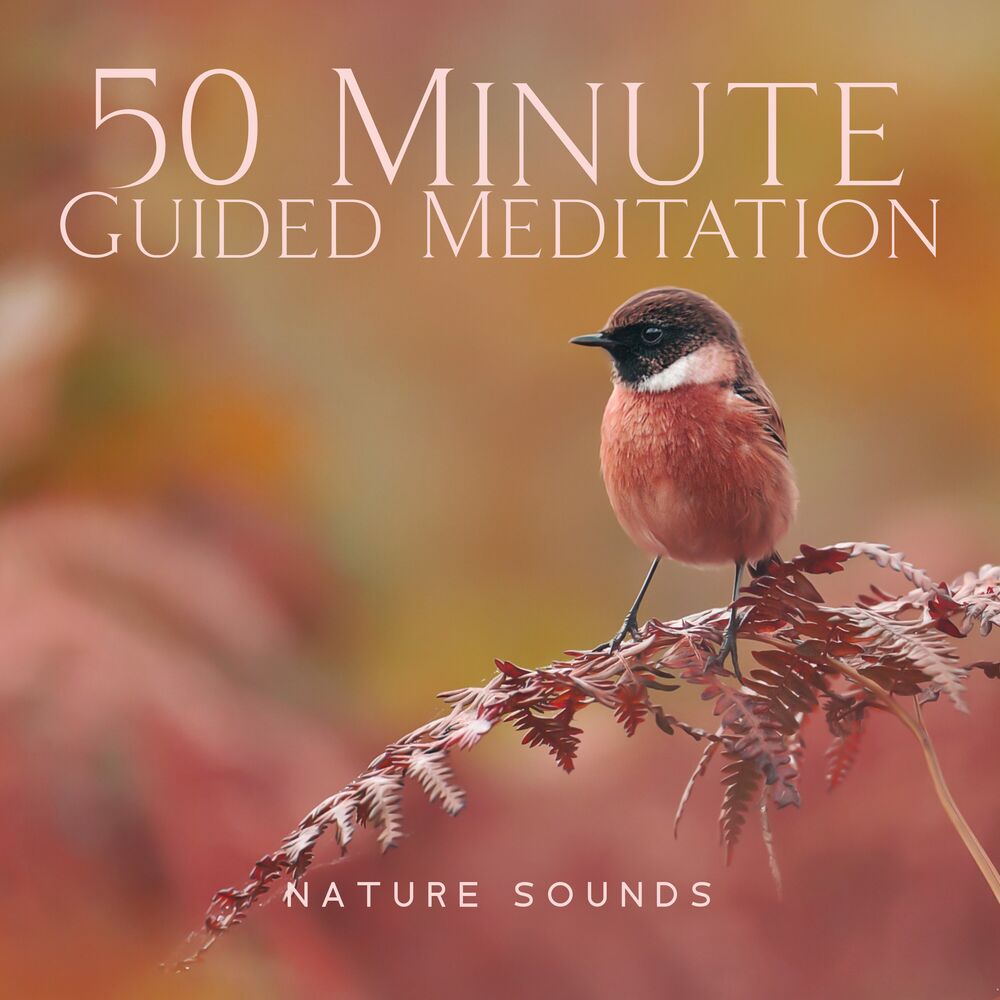 Picture of 50 Minute Guided Meditation - Nature Sounds, Waterfall, Forest, Refreshing Rain, Birds Noise